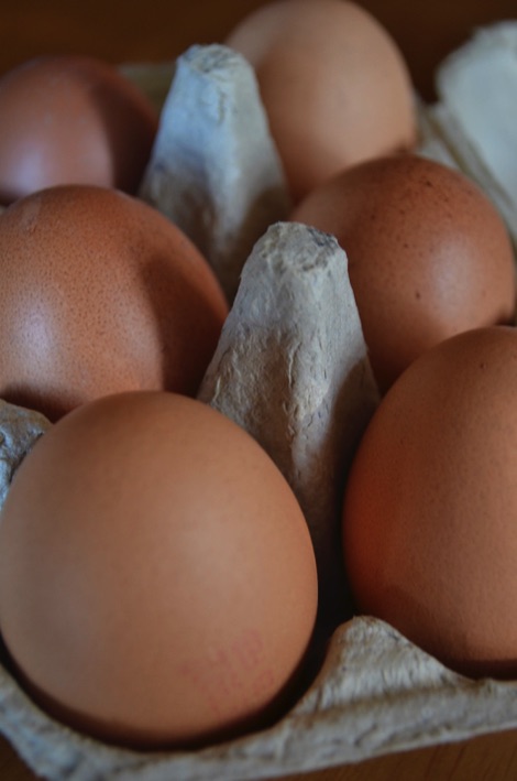 eggs